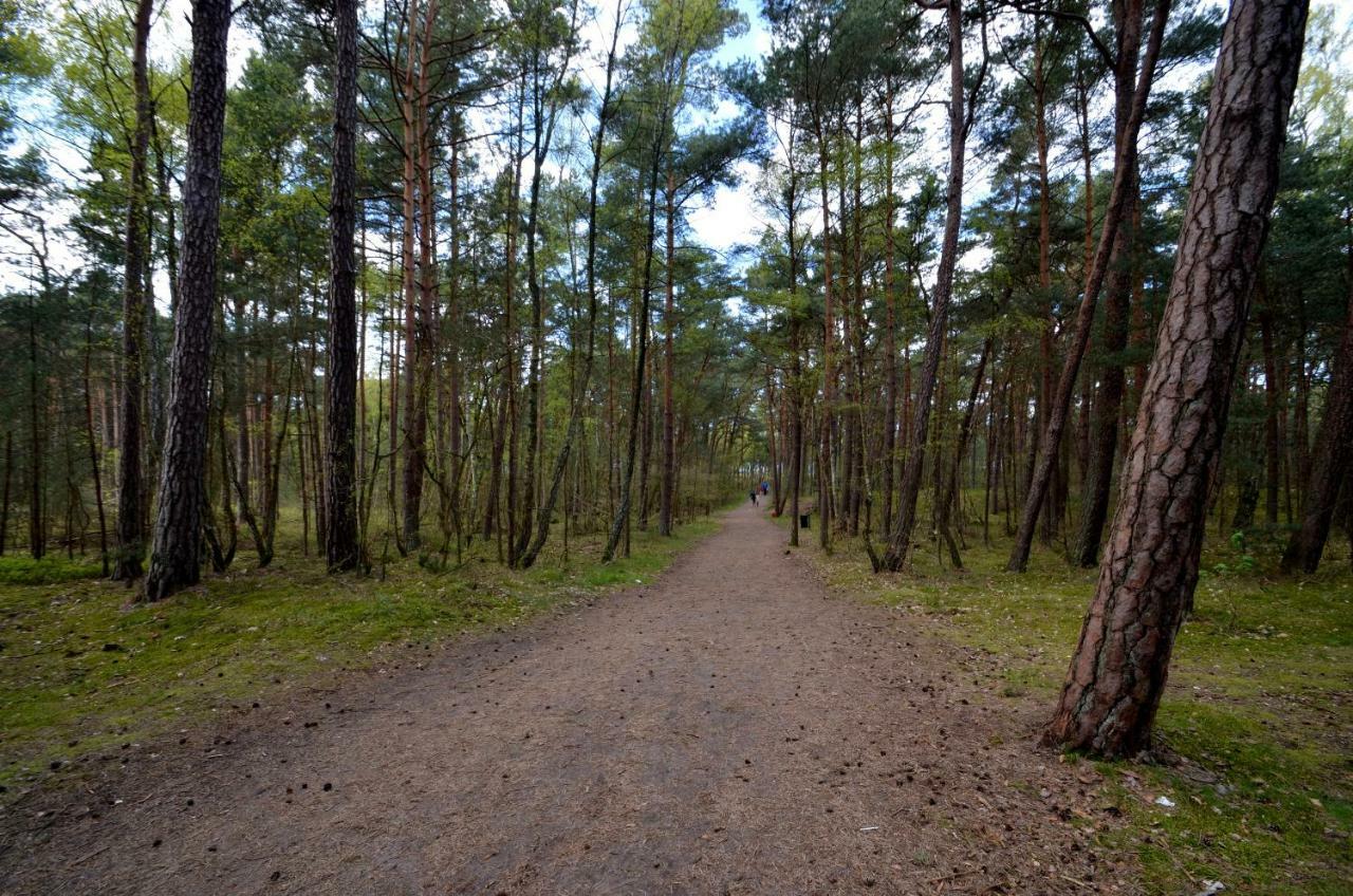 Pensjonat Slepowron Międzywodzie Exteriér fotografie